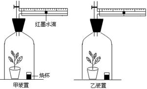 膨松剂的作用及应用，深入解析其在不同领域的重要性