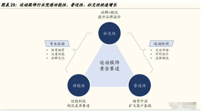 运动护具市场分析