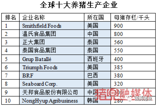 云母纸生产厂家排名