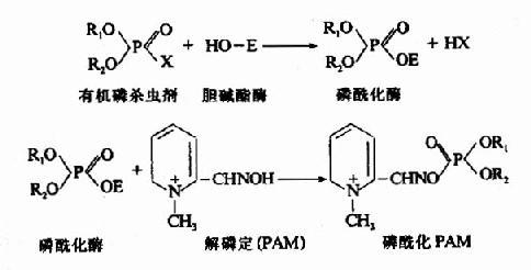 酶在饮料中的应用