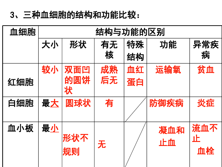 文件夹的材料是什么